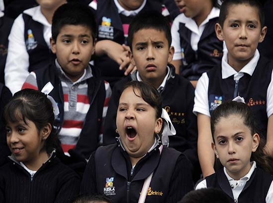 La convivencia escolar