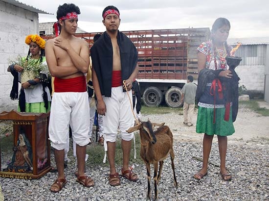 Celebran Matanza de Chivos en Tehuacán para temporada de mole de caderas