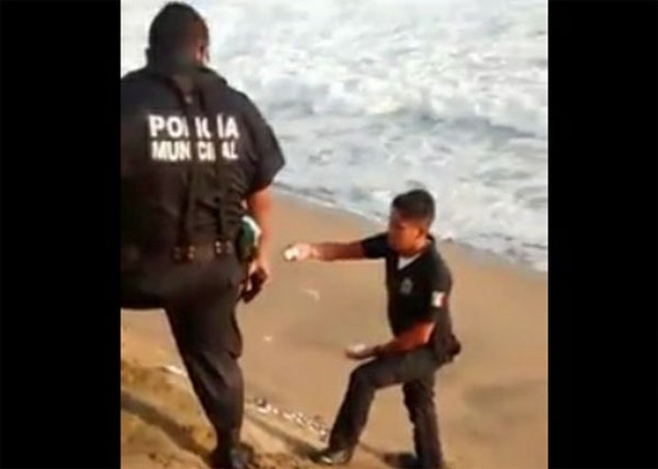 VIDEO: Arrestan a policías que saquearon nido de tortuga en Colima