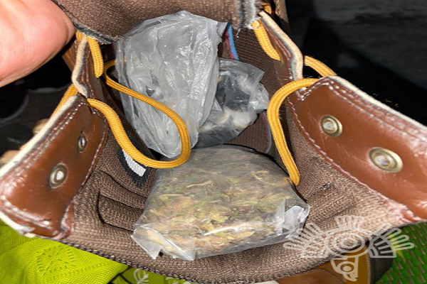 Detecta binomio canino droga a reo al interior de su celda del Cereso de Puebla