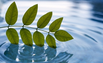 México signó acuerdo para proteger ecosistemas abastecedores de agua