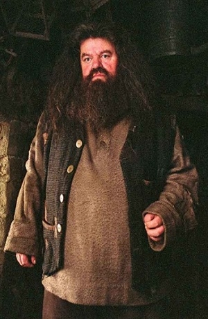 Actor que dio vida a Rubeus Hagrid, en Harry Potter, padece…