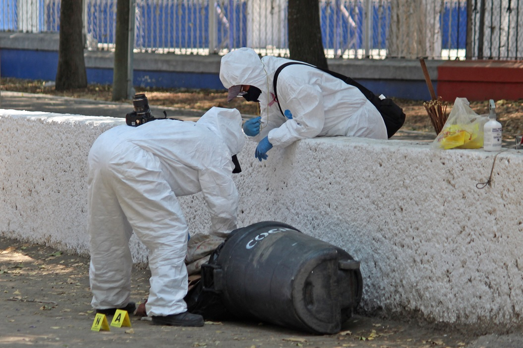 Hallan restos humanos embolsados en el parque de Las Ninfas