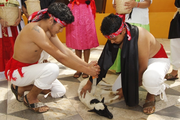 A saborear el tradicional mole de caderas en Tehuacán