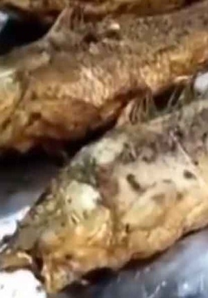 VIDEO: Pescado, aún frito, siguió con vida en China