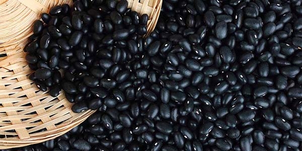 Baja 21% producción de frijol en Puebla