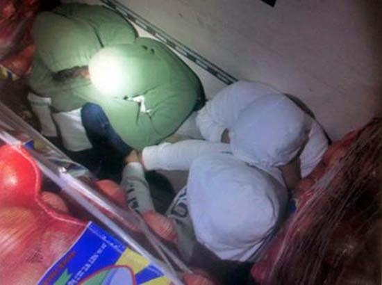 Patrulla Fronteriza rescata a 11 inmigrantes ocultos en camión de cebollas