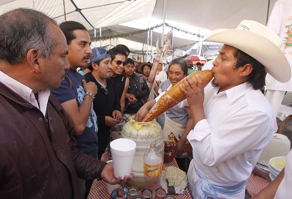 Anuncian la Feria del Pulque de San Mateo Ozolco, Puebla, este 18 de marzo