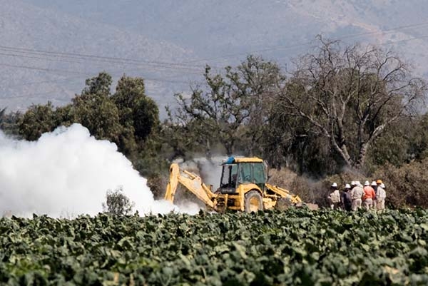 Upaep llama a recuperar suelos dañados por fuga de hidrocarburos