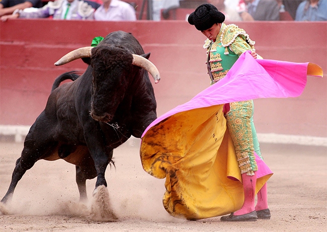 Congreso de Coahuila prohíbe las corridas de toros en su territorio