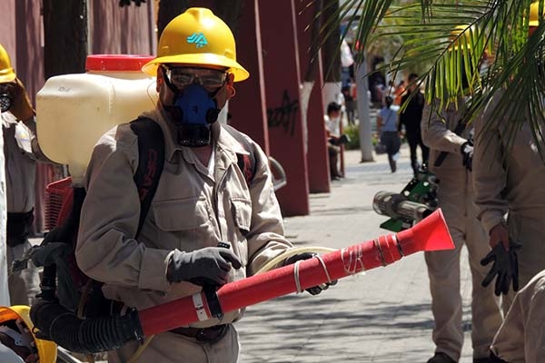 En lo que va del año se han detectado 329 casos de dengue en Puebla