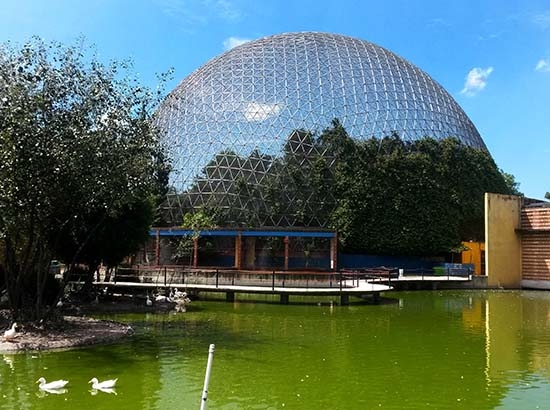 Profepa: Inspección a aviario de Puebla, por tráfico de aves exóticas