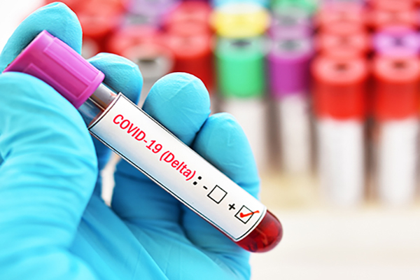 Medicamento vegetal es eficaz contra variante Delta de COVID-19: expertos