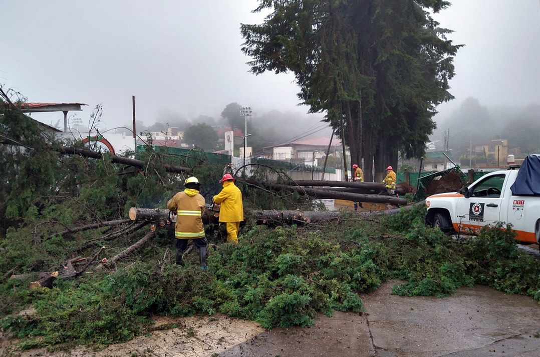 Un muerto, apagones y caminos obstruidos dejó Grace en Puebla
