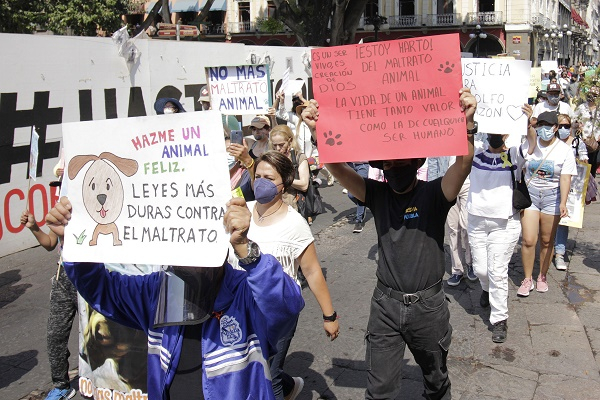 Marcha contra el maltrato animal en las calles del centro de Puebla
