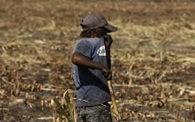 PGJ rescata a 11 niños de Puebla explotados en sembradíos de caña de Morelos
