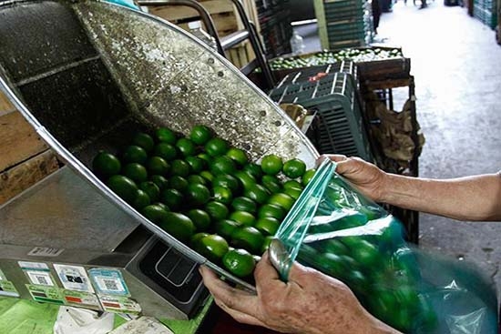 Diconsa venderá kilogramo de limón a 26 pesos