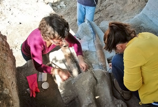 INAH analiza huesos de 10 mil años hallados en Tlaxcala