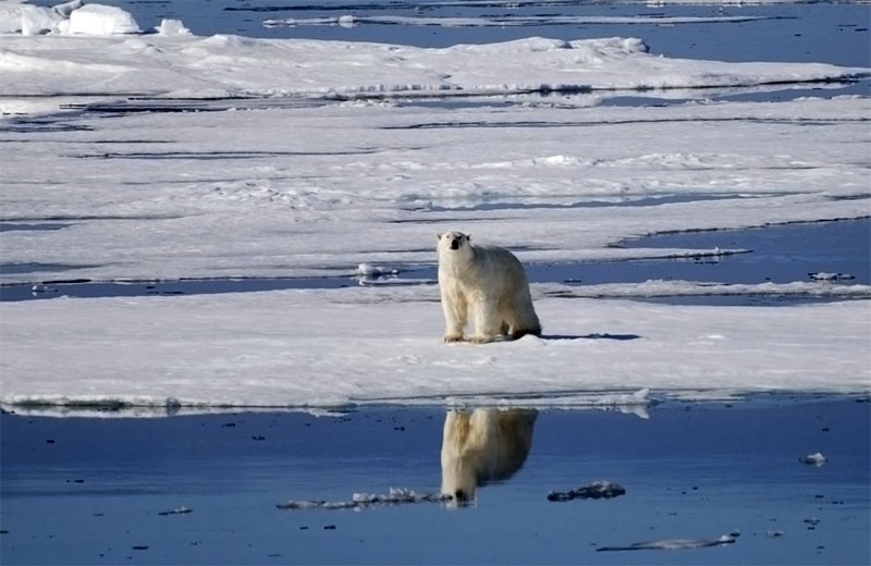 Cambio climático rompió marcas históricas durante 2015