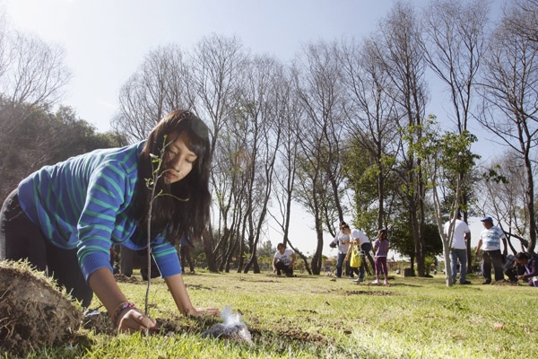 Volkswagen siembra mil  árboles en parque Cuautlancingo
