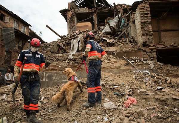 Cifra de muertos en Nepal rebasa los 6 mil y sigue la búsqueda