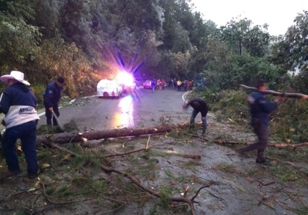 Segob federal declara emergencia en 17 municipios de Puebla por helada