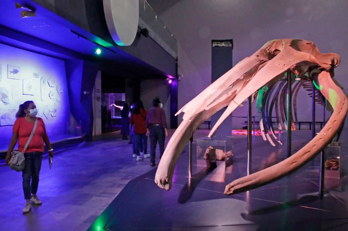 Sexta edición de Noche de Museos en Puebla, el Día del Padre