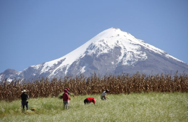 Mueren dos ejidatarios poblanos combatiendo incendio en el Pico de Orizaba