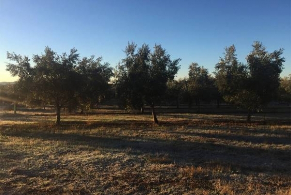 Primera tormenta invernal llega a Puebla con -5 grados de temperatura