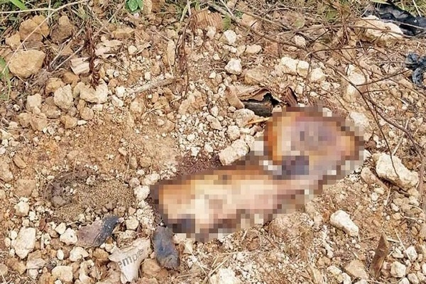 Hallan cadáveres de comerciantes poblanos en fosa clandestina de Oaxaca