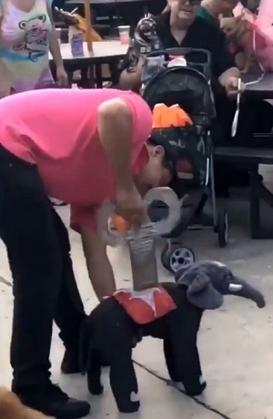 Conoce el mejor disfraz para el próximo Halloween
