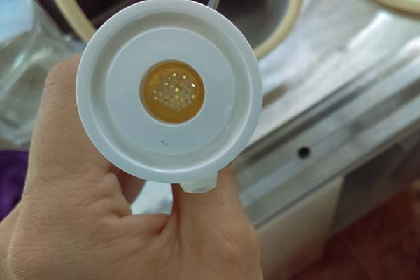 Académicos de la BUAP analizan propiedades del suero de leche para reutilizarlo en otros alimentos