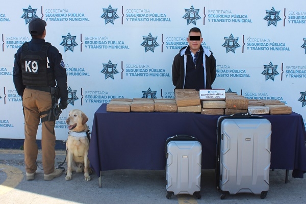 Capturan a sujeto con 55 paquetes de marihuana en la CAPU