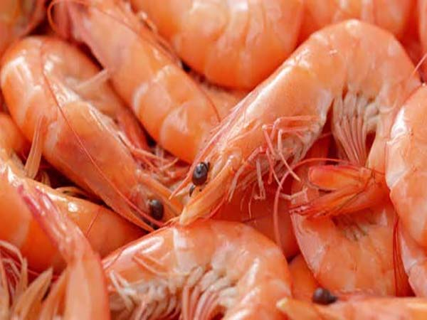 Aprende a comprar los mejores camarones