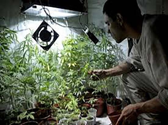 Gobierno de Peña, abierto a debate para legalizar drogas: Campa
