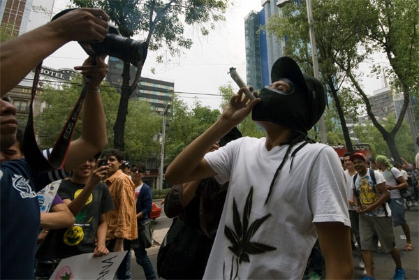 Presentan iniciativa para despenalizar el consumo de mariguana en Jalisco