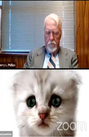 “No soy un gato”, clama juez al no poder desactivar filtro durante reunión en Zoom