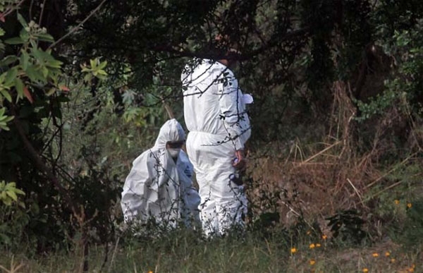 Suman 31 cadáveres hallados en fosa clandestina de Veracruz