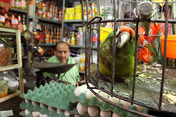 6 mil “tienditas” cerrarán sus puertas por la pandemia en Puebla