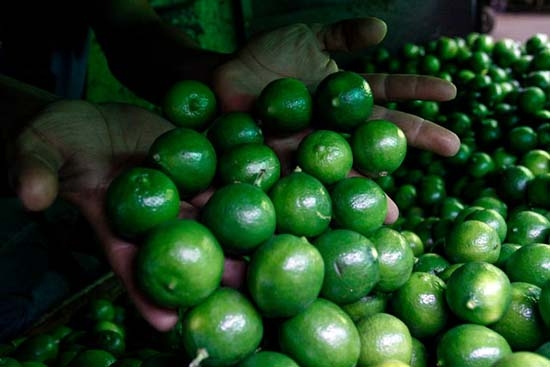 Profeco denuncia ante la PGR a especuladores de limón