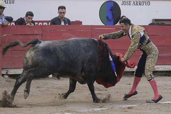 Sin fines electorales, prohibición de tauromaquia en Puebla: Claudia Rivera