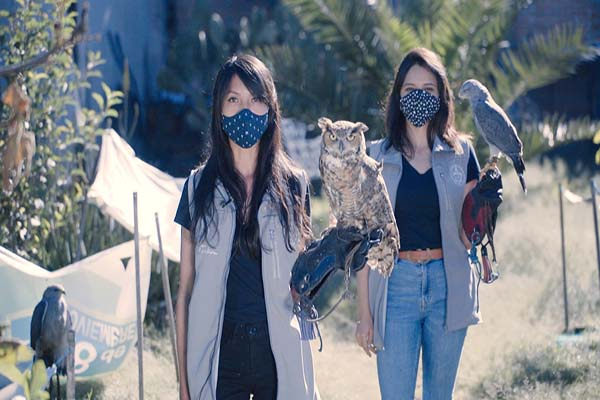 Estudiantes de la BUAP desarrollan plan de rescate y conservación de aves rapaces