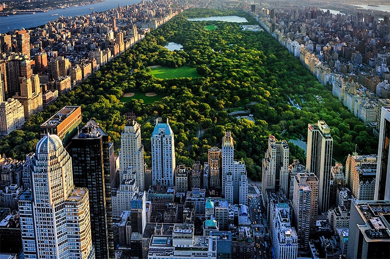 ¿De viaje a Nueva York? Cómete la Gran Manzana