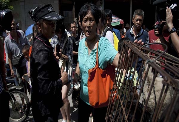 Mujer china compra 100 perros para salvarlos de ser comidos