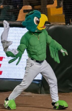 Pericos de Puebla lanza abono especial por su 80 aniversario