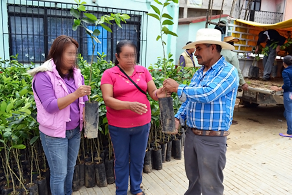 Asesinan a juez de paz y opositor a construcción de hidroeléctrica en Zacapoaxtla