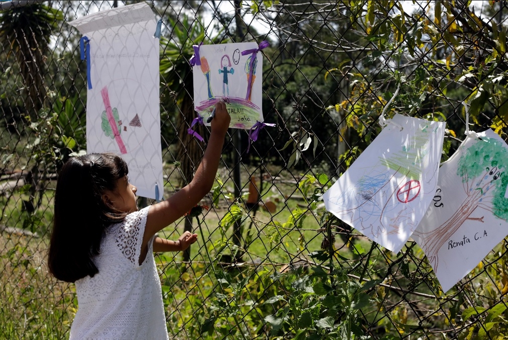 Ayuntamiento de Puebla denuncia tala de árboles en Vivero Santa Cruz