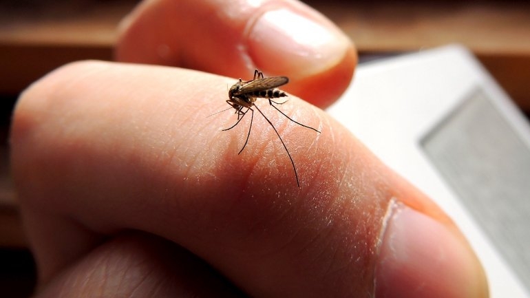 Surge app para smartphones que ahuyenta mosquitos