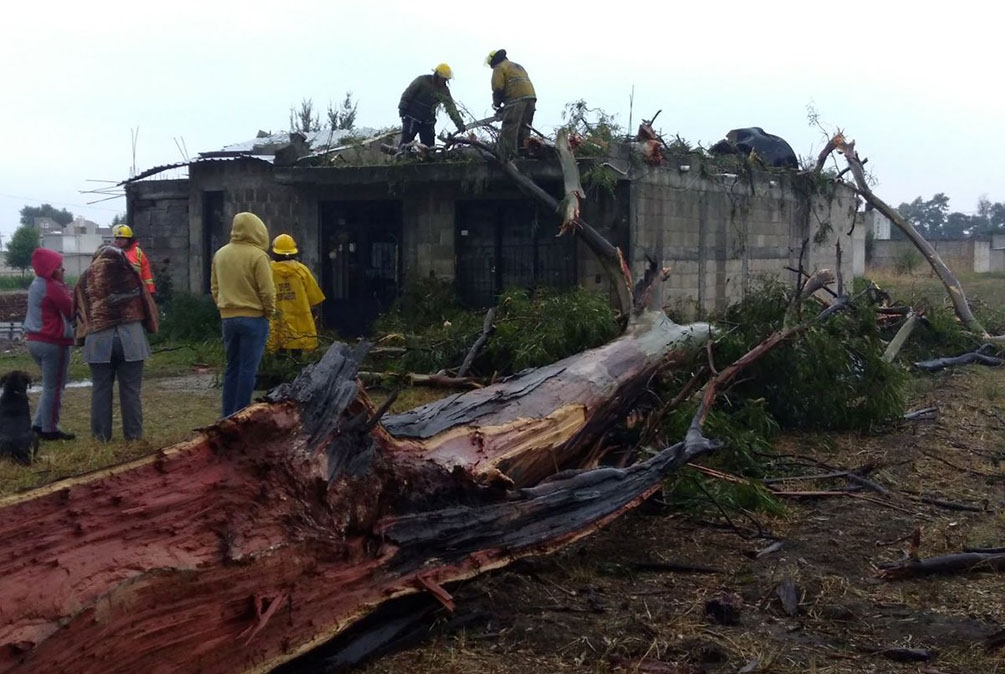 Temporal derriba árbol sobre casa en Texmelucan; vienen más tormentas
