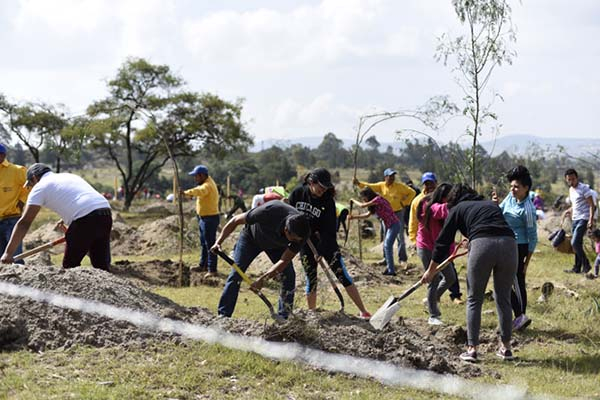 La BUAP invita a adoptar un árbol